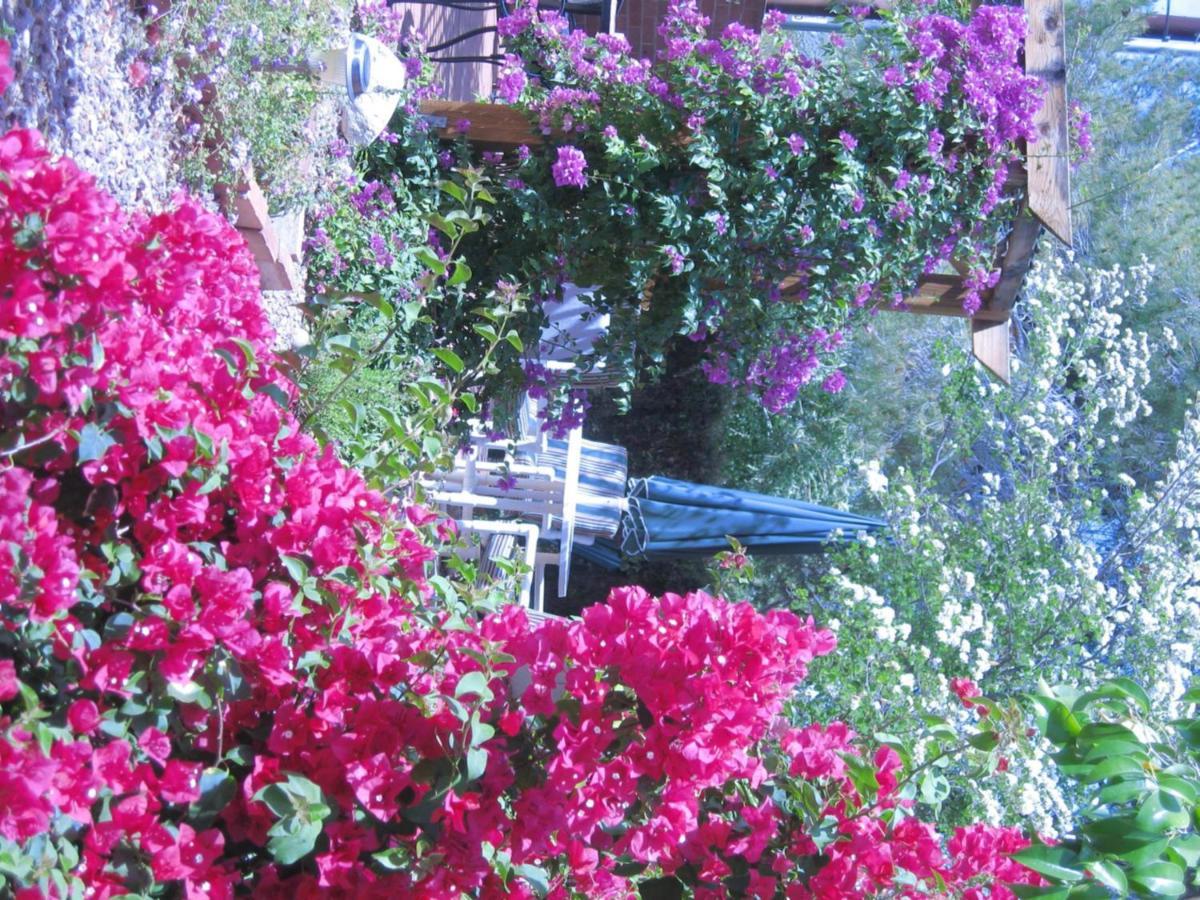Mon Ami Bed And Breakfast Tucson Exteriör bild