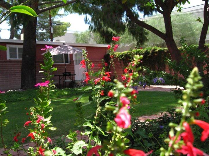 Mon Ami Bed And Breakfast Tucson Rum bild